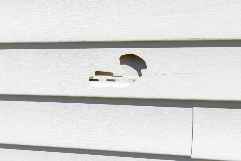 Siding Damage Inspection